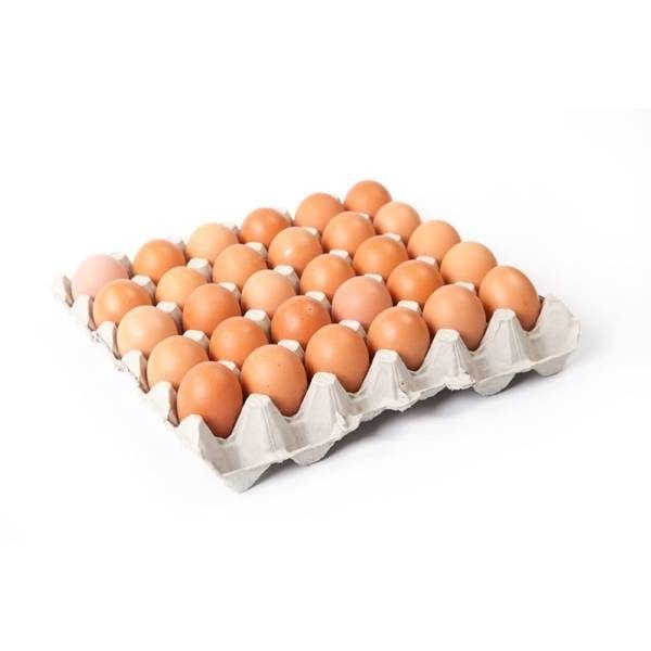 Egg Tray ( Pondez) on Yogros